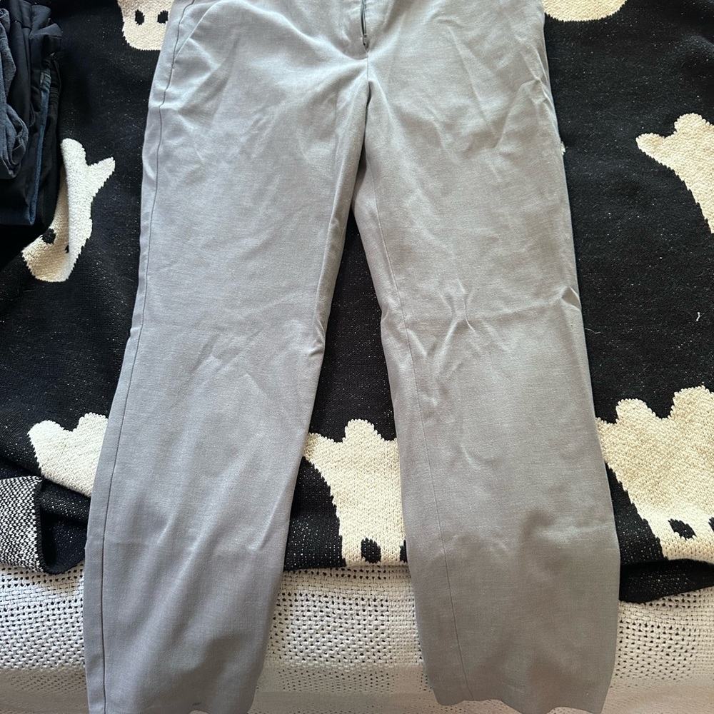Express Light Gray Chinos
